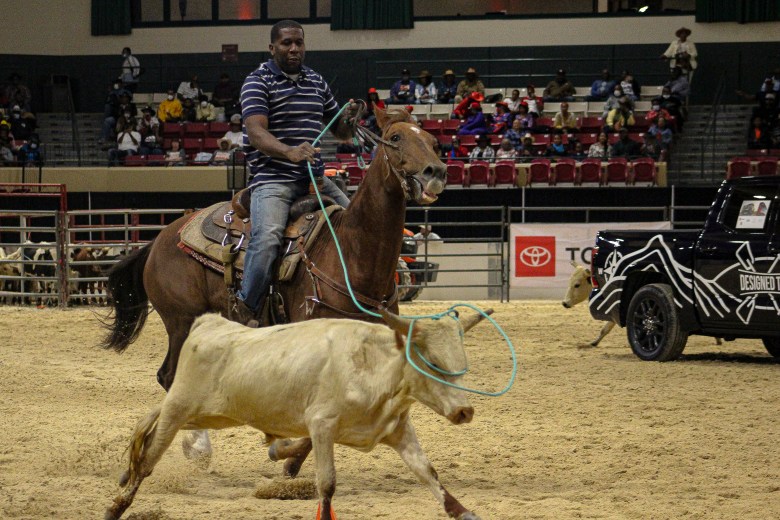 A competitor on horseback competes in the calf roping competition, he wears a blue and white striped shirt and is lassoing a calf. 