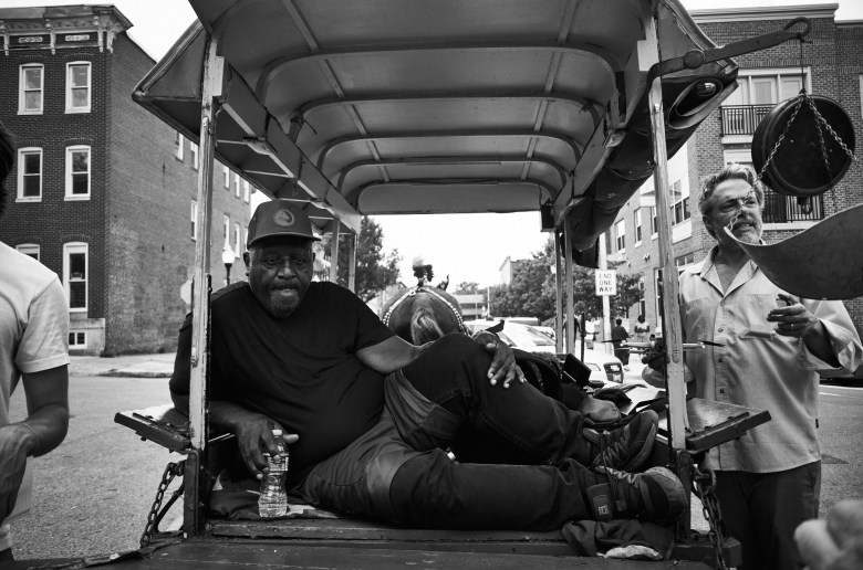 A man rests in a horse-drawn carriage. 