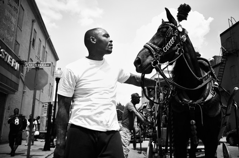A man places his hands on a dark colored horse. 